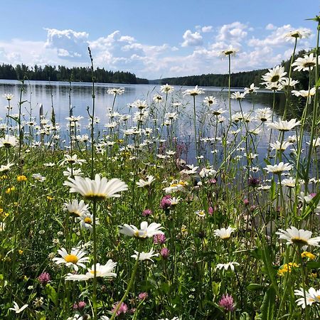 Vehkaniemen Lomatila Pohjaslahti エクステリア 写真