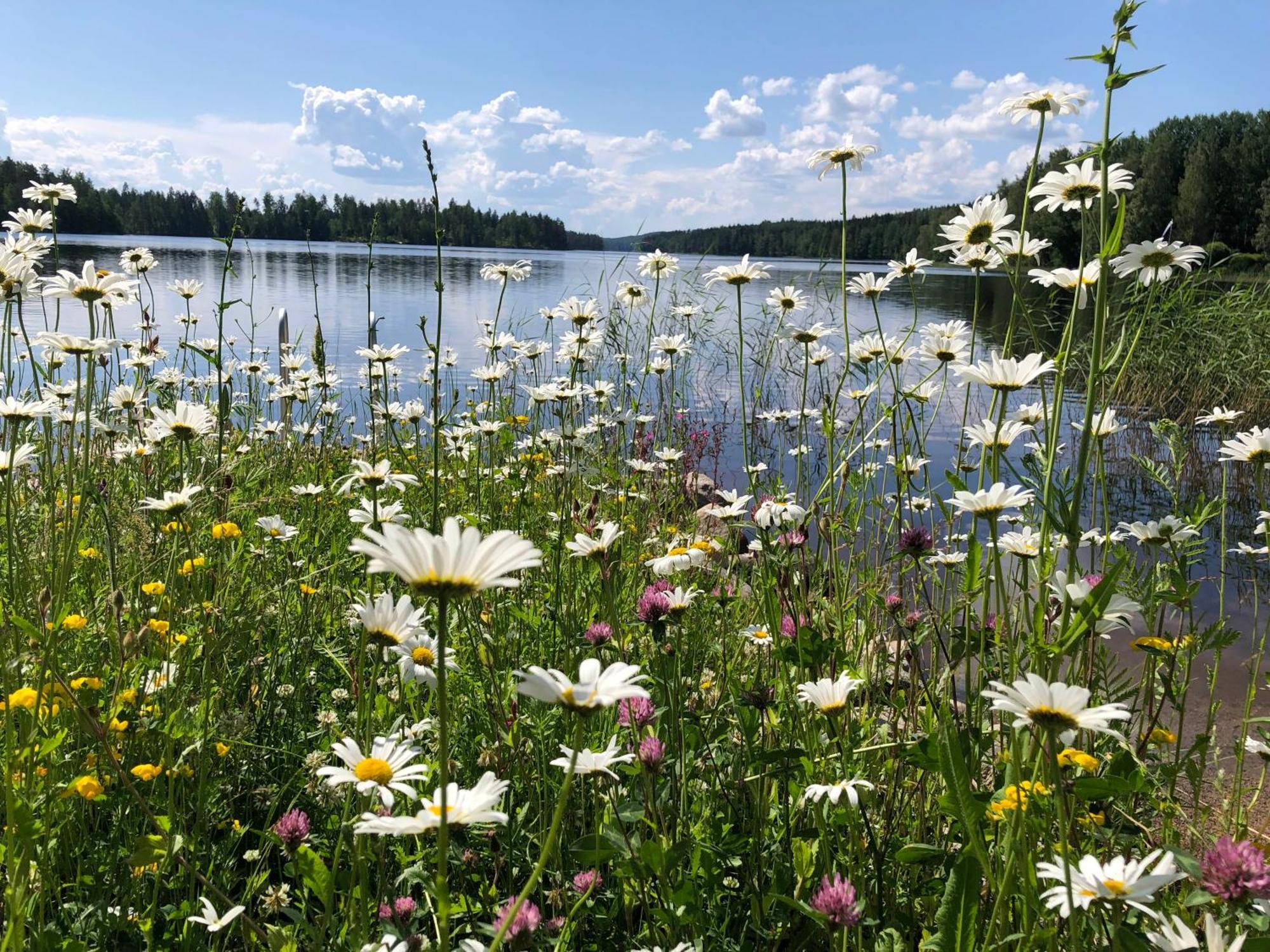 Vehkaniemen Lomatila Pohjaslahti エクステリア 写真